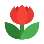 Close Up Mode SVG Icon